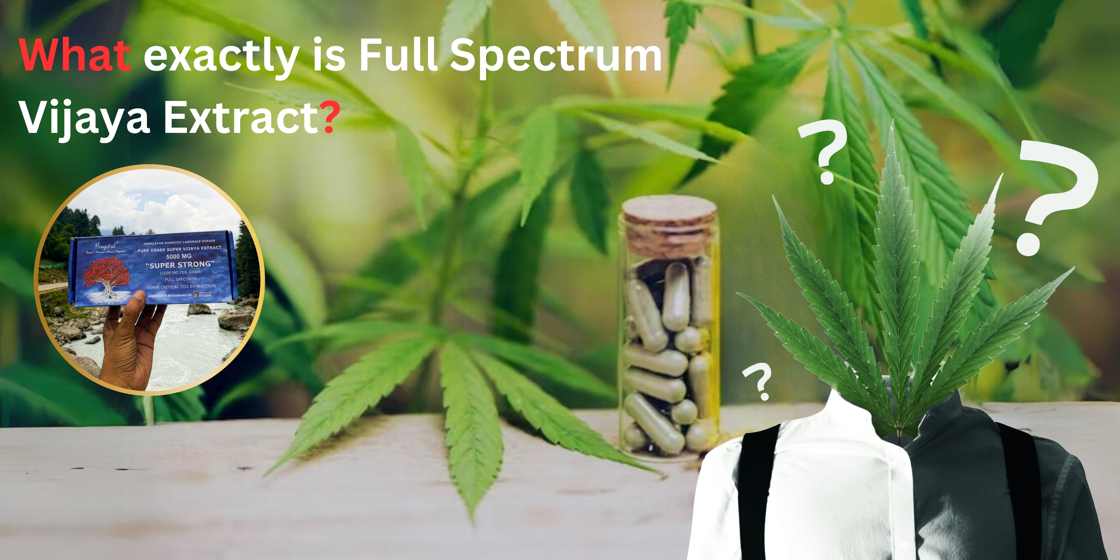 buy cbd oil online